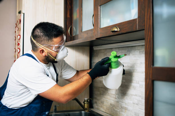 Trusted Winter Springs, FL Pest Control Experts
