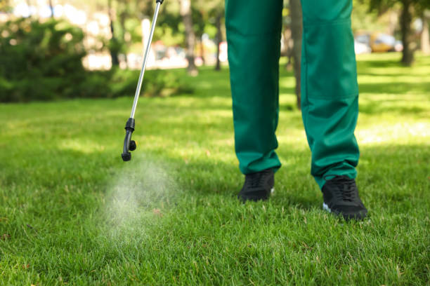 Best Ant Control Services  in Winter Springs, FL