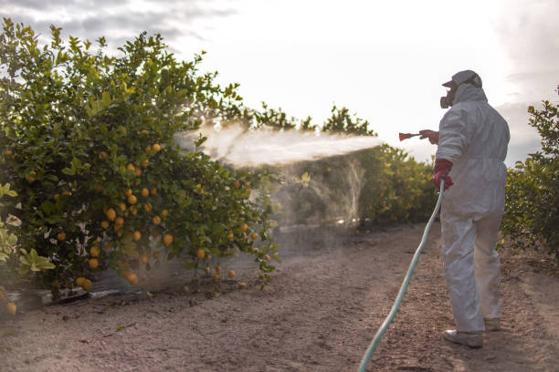 Best Insect Control  in Winter Springs, FL