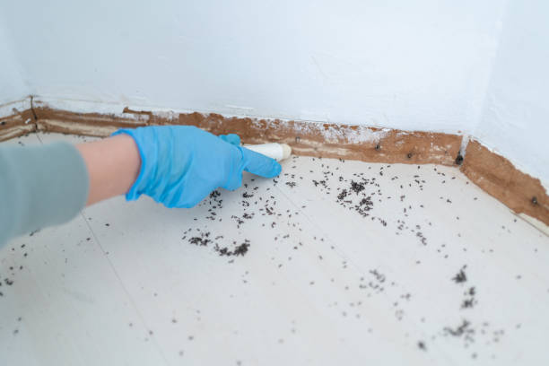 Best Pest Removal Services  in Winter Springs, FL