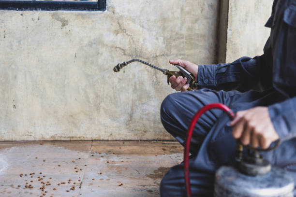 Best Local Pest Control Services  in Winter Springs, FL